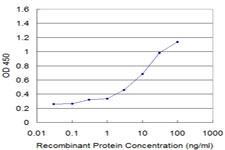 ARA70 / NCOA4 Antibody - Detection limit for recombinant GST tagged NCOA4 is approximately 0.3 ng/ml as a capture antibody.