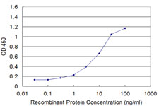 ARA70 / NCOA4 Antibody - Detection limit for recombinant GST tagged NCOA4 is approximately 0.3 ng/ml as a capture antibody.