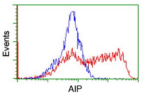 ARA9 / AIP Antibody - HEK293T cells transfected with either overexpress plasmid (Red) or empty vector control plasmid (Blue) were immunostained by anti-AIP antibody, and then analyzed by flow cytometry.