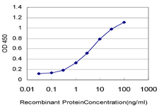 ARAF / ARAF1 / A-RAF Antibody - Detection limit for recombinant GST tagged ARAF is approximately 0.1 ng/ml as a capture antibody.
