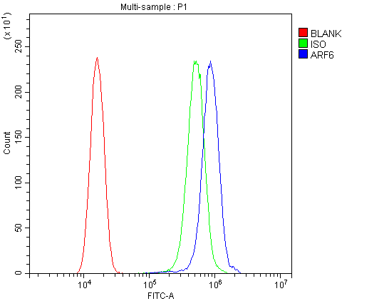ARF6 Antibody - Flow Cytometry analysis of SiHa cells using anti-ARF6 antibody. Overlay histogram showing SiHa cells stained with anti-ARF6 antibody (Blue line). The cells were blocked with 10% normal goat serum. And then incubated with rabbit anti-ARF6 Antibody (1µg/10E6 cells) for 30 min at 20°C. DyLight®488 conjugated goat anti-rabbit IgG (5-10µg/10E6 cells) was used as secondary antibody for 30 minutes at 20°C. Isotype control antibody (Green line) was rabbit IgG (1µg/10E6 cells) used under the same conditions. Unlabelled sample (Red line) was also used as a control.