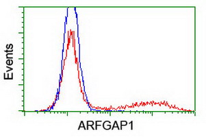 ARFGAP1 Antibody - HEK293T cells transfected with either overexpress plasmid (Red) or empty vector control plasmid (Blue) were immunostained by anti-ARFGAP1 antibody, and then analyzed by flow cytometry.