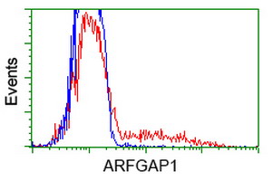 ARFGAP1 Antibody - HEK293T cells transfected with either overexpress plasmid (Red) or empty vector control plasmid (Blue) were immunostained by anti-ARFGAP1 antibody, and then analyzed by flow cytometry.