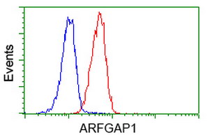 ARFGAP1 Antibody - Flow cytometry of Jurkat cells, using anti-ARFGAP1 antibody (Red), compared to a nonspecific negative control antibody (Blue).