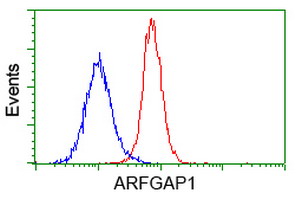 ARFGAP1 Antibody - Flow cytometry of HeLa cells, using anti-ARFGAP1 antibody (Red), compared to a nonspecific negative control antibody (Blue).
