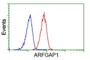 ARFGAP1 Antibody - Flow cytometry of HeLa cells, using anti-ARFGAP1 antibody (Red), compared to a nonspecific negative control antibody (Blue).