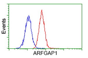 ARFGAP1 Antibody - Flow cytometry of Jurkat cells, using anti-ARFGAP1 antibody (Red), compared to a nonspecific negative control antibody (Blue).