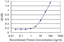 ARFIP1 Antibody - Detection limit for recombinant GST tagged ARFIP1 is 0.3 ng/ml as a capture antibody.