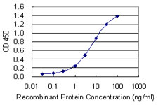 ARHGAP35 / GRLF1 Antibody - Detection limit for recombinant GST tagged GRLF1 is 0.1 ng/ml as a capture antibody.