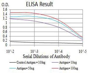 ARHGAP42 Antibody - Black line: Control Antigen (100 ng);Purple line: Antigen (10ng); Blue line: Antigen (50 ng); Red line:Antigen (100 ng)