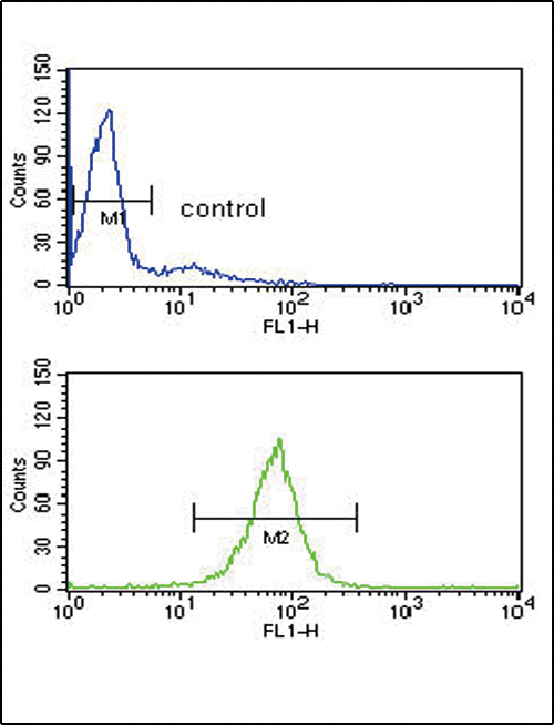 ARHGDIA / RHOGDI Antibody - ARHGDIA Antibody flow cytometry of HL-60 cells (bottom histogram) compared to a negative control cell (top histogram). FITC-conjugated goat-anti-rabbit secondary antibodies were used for the analysis.