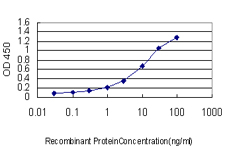 ARHGDIA / RHOGDI Antibody - Detection limit for recombinant GST tagged ARHGDIA is approximately 0.3 ng/ml as a capture antibody.