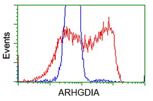 ARHGDIA / RHOGDI Antibody - HEK293T cells transfected with either overexpress plasmid (Red) or empty vector control plasmid (Blue) were immunostained by anti-ARHGDIA antibody, and then analyzed by flow cytometry.