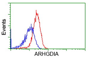 ARHGDIA / RHOGDI Antibody - Flow cytometric Analysis of Hela cells, using anti-ARHGDIA antibody, (Red), compared to a nonspecific negative control antibody, (Blue).