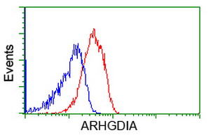 ARHGDIA / RHOGDI Antibody - Flow cytometric Analysis of Jurkat cells, using anti-ARHGDIA antibody, (Red), compared to a nonspecific negative control antibody, (Blue).