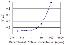ARHGEF5 Antibody - Detection limit for recombinant GST tagged ARHGEF5 is 1 ng/ml as a capture antibody.