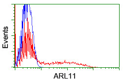 ARL11 Antibody - HEK293T cells transfected with either overexpress plasmid (Red) or empty vector control plasmid (Blue) were immunostained by anti-ARL11 antibody, and then analyzed by flow cytometry.