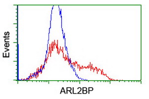 ARL2BP / BART Antibody - HEK293T cells transfected with either overexpress plasmid (Red) or empty vector control plasmid (Blue) were immunostained by anti-ARL2BP antibody, and then analyzed by flow cytometry.