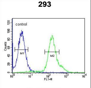ARMC5 Antibody - ARMC5 Antibody flow cytometry of 293 cells (right histogram) compared to a negative control cell (left histogram). FITC-conjugated goat-anti-rabbit secondary antibodies were used for the analysis.
