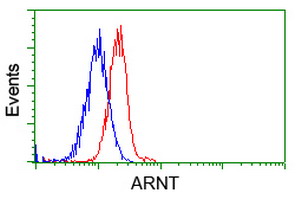 ARNT / HIF-1-Beta Antibody - Flow cytometry of Jurkat cells, using anti-ARNT antibody, (Red), compared to a nonspecific negative control antibody, (Blue).