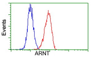 ARNT / HIF-1-Beta Antibody - Flow cytometric Analysis of Hela cells, using anti-ARNT antibody, (Red), compared to a nonspecific negative control antibody, (Blue).