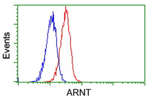 ARNT / HIF-1-Beta Antibody - Flow cytometric Analysis of Jurkat cells, using anti-ARNT antibody, (Red), compared to a nonspecific negative control antibody, (Blue).