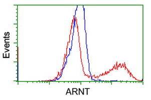 ARNT / HIF-1-Beta Antibody - HEK293T cells transfected with either overexpress plasmid (Red) or empty vector control plasmid (Blue) were immunostained by anti-ARNT antibody, and then analyzed by flow cytometry.