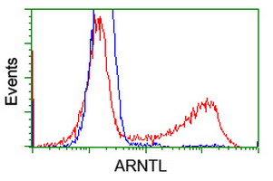 ARNTL / BMAL1 Antibody - HEK293T cells transfected with either overexpress plasmid (Red) or empty vector control plasmid (Blue) were immunostained by anti-ARNTL antibody, and then analyzed by flow cytometry.