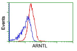 ARNTL / BMAL1 Antibody - Flow cytometric Analysis of Jurkat cells, using anti-ARNTL antibody, (Red), compared to a nonspecific negative control antibody, (Blue).