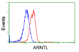 ARNTL / BMAL1 Antibody - Flow cytometric Analysis of Jurkat cells, using anti-ARNTL antibody, (Red), compared to a nonspecific negative control antibody, (Blue).