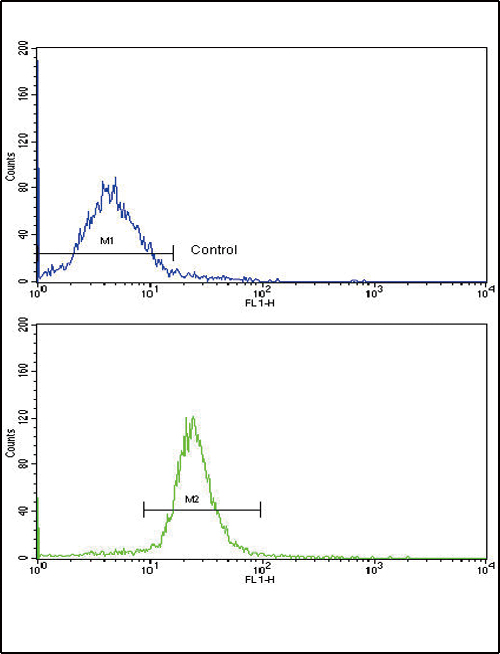 ARPC1A Antibody - Flow cytometric of WiDr cells using ARPC1A Antibody (bottom histogram) compared to a negative control cell (top histogram). FITC-conjugated goat-anti-rabbit secondary antibodies were used for the analysis.