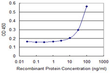 ARR3 / Cone Arrestin Antibody - Detection limit for recombinant GST tagged ARR3 is 3 ng/ml as a capture antibody.