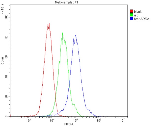 ARSA / Arylsulfatase A Antibody - Flow Cytometry analysis of ANA-1 cells using anti-ARSA antibody. Overlay histogram showing ANA-1 cells stained with anti-ARSA antibody (Blue line). The cells were blocked with 10% normal goat serum. And then incubated with mouse anti-ARSA Antibody (1µg/10E6 cells) for 30 min at 20°C. DyLight®488 conjugated goat anti-mouse IgG (5-10µg/10E6 cells) was used as secondary antibody for 30 minutes at 20°C. Isotype control antibody (Green line) was mouse IgG (1µg/10E6 cells) used under the same conditions. Unlabelled sample (Red line) was also used as a control.