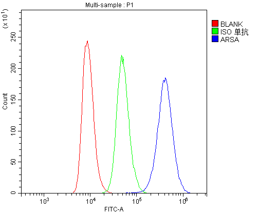 ARSA / Arylsulfatase A Antibody - Flow Cytometry analysis of Raji cells using anti-ARSA antibody. Overlay histogram showing Raji cells stained with anti-ARSA antibody (Blue line). The cells were blocked with 10% normal goat serum. And then incubated with rabbit anti-ARSA Antibody (1µg/10E6 cells) for 30 min at 20°C. DyLight®488 conjugated goat anti-rabbit IgG (5-10µg/10E6 cells) was used as secondary antibody for 30 minutes at 20°C. Isotype control antibody (Green line) was rabbit IgG (1µg/10E6 cells) used under the same conditions. Unlabelled sample (Red line) was also used as a control.