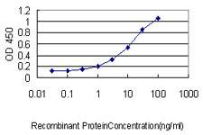 ASB9 Antibody - Detection limit for recombinant GST tagged ASB9 is approximately 0.1 ng/ml as a capture antibody.