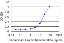ASCC2 Antibody - Detection limit for recombinant GST tagged ASCC2 is 1 ng/ml as a capture antibody.