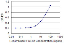 ASGR2 Antibody - Detection limit for recombinant GST tagged ASGR2 is 1 ng/ml as a capture antibody.
