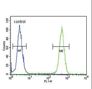 ASMT / HIOMT Antibody - ASMT Antibody flow cytometry of 293 cells (right histogram) compared to a negative control cell (left histogram). FITC-conjugated goat-anti-rabbit secondary antibodies were used for the analysis.