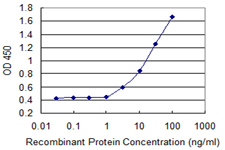 ASMT / HIOMT Antibody - Detection limit for recombinant GST tagged ASMT is 1 ng/ml as a capture antibody.