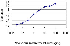 ASNA1 Antibody - Detection limit for recombinant GST tagged ASNA1 is approximately 0.03 ng/ml as a capture antibody.