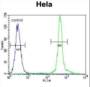 ASXL1 Antibody - ASXL1 Antibody flow cytometry of HeLa cells (right histogram) compared to a negative control cell (left histogram). FITC-conjugated goat-anti-rabbit secondary antibodies were used for the analysis.