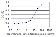 ASXL1 Antibody - Detection limit for recombinant GST tagged ASXL1 is 0.3 ng/ml as a capture antibody.