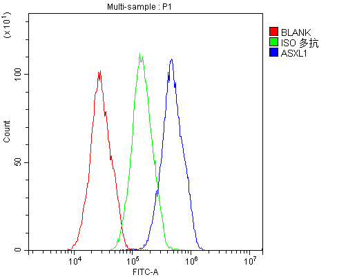 ASXL1 Antibody - Flow Cytometry analysis of HepG2 cells using anti-ASXL1 antibody. Overlay histogram showing HepG2 cells stained with anti-ASXL1 antibody (Blue line). The cells were blocked with 10% normal goat serum. And then incubated with rabbit anti-ASXL1 Antibody (1µg/10E6 cells) for 30 min at 20°C. DyLight®488 conjugated goat anti-rabbit IgG (5-10µg/10E6 cells) was used as secondary antibody for 30 minutes at 20°C. Isotype control antibody (Green line) was rabbit IgG (1µg/10E6 cells) used under the same conditions. Unlabelled sample (Red line) was also used as a control.