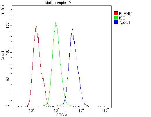 ASXL1 Antibody - Flow Cytometry analysis of U20S cells using anti-ASXL1 antibody. Overlay histogram showing U20S cells stained with anti-ASXL1 antibody (Blue line). The cells were blocked with 10% normal goat serum. And then incubated with rabbit anti-ASXL1 Antibody (1µg/10E6 cells) for 30 min at 20°C. DyLight®488 conjugated goat anti-rabbit IgG (5-10µg/10E6 cells) was used as secondary antibody for 30 minutes at 20°C. Isotype control antibody (Green line) was rabbit IgG (1µg/10E6 cells) used under the same conditions. Unlabelled sample (Red line) was also used as a control.