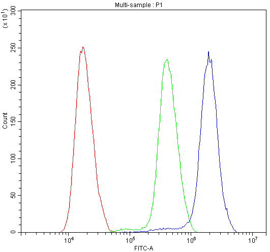 ATF1 Antibody - Flow Cytometry analysis of SiHa cells using anti-ATF1 antibody. Overlay histogram showing SiHa cells stained with anti-ATF1 antibody (Blue line). The cells were blocked with 10% normal goat serum. And then incubated with rabbit anti-ATF1 Antibody (1µg/10E6 cells) for 30 min at 20°C. DyLight®488 conjugated goat anti-rabbit IgG (5-10µg/10E6 cells) was used as secondary antibody for 30 minutes at 20°C. Isotype control antibody (Green line) was rabbit IgG (1µg/10E6 cells) used under the same conditions. Unlabelled sample (Red line) was also used as a control.