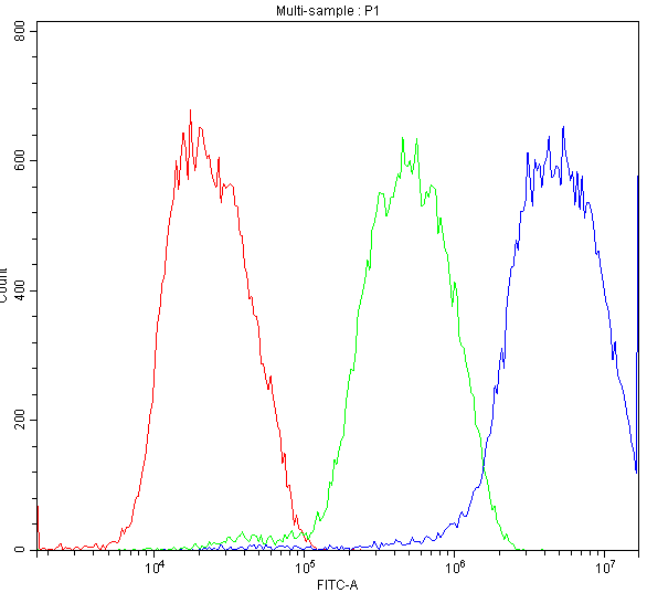 ATF2 Antibody - Flow Cytometry analysis of K562 cells using anti-ATF2 antibody. Overlay histogram showing K562 cells stained with anti-ATF2 antibody (Blue line). The cells were blocked with 10% normal goat serum. And then incubated with rabbit anti-ATF2 Antibody (1µg/10E6 cells) for 30 min at 20°C. DyLight®488 conjugated goat anti-rabbit IgG (5-10µg/10E6 cells) was used as secondary antibody for 30 minutes at 20°C. Isotype control antibody (Green line) was rabbit IgG (1µg/10E6 cells) used under the same conditions. Unlabelled sample (Red line) was also used as a control.
