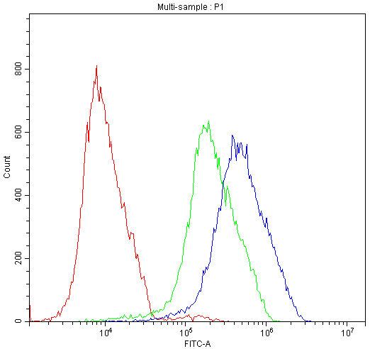ATF2 Antibody - Flow Cytometry analysis of HepG2 cells using anti-ATF2 antibody. Overlay histogram showing HepG2 cells stained with anti-ATF2 antibody (Blue line). The cells were blocked with 10% normal goat serum. And then incubated with rabbit anti-ATF2 Antibody (1µg/10E6 cells) for 30 min at 20°C. DyLight®488 conjugated goat anti-rabbit IgG (5-10µg/10E6 cells) was used as secondary antibody for 30 minutes at 20°C. Isotype control antibody (Green line) was rabbit IgG (1µg/10E6 cells) used under the same conditions. Unlabelled sample (Red line) was also used as a control.