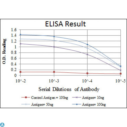 ATF2 Antibody - ELISA analysis of ATF-2 antibody.
