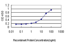 ATF3 Antibody - Detection limit for recombinant GST tagged ATF3 is approximately 1 ng/ml as a capture antibody.