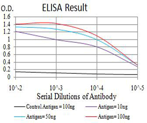 ATF4 Antibody - Black line: Control Antigen (100 ng);Purple line: Antigen (10ng); Blue line: Antigen (50 ng); Red line:Antigen (100 ng)